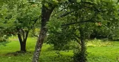 Участок земли в Anninskoe gorodskoe poselenie, Россия