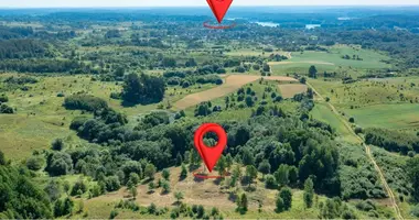 Plot of land in Sredninkai, Lithuania