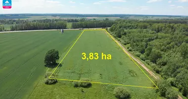Plot of land in Budiskes, Lithuania
