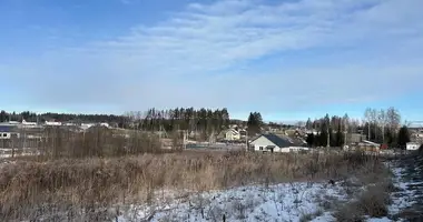 Terrain dans Zabalocki siel ski Saviet, Biélorussie