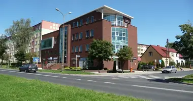 Apartment in Srem, Poland