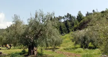 Участок земли в Agia Paraskevi, Греция