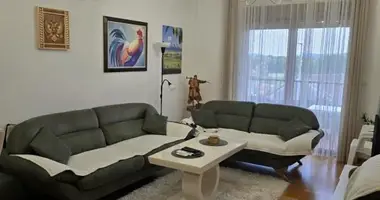 Wohnung 2 Schlafzimmer in Danilovgrad, Montenegro