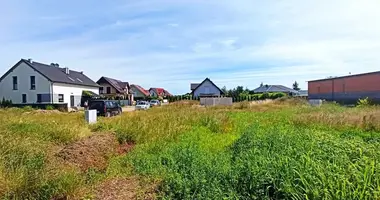 House in Konarzewo, Poland