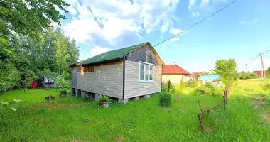 House in Krasnienski sielski Saviet, Belarus