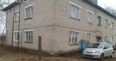 2 room apartment in Bahdanau, Belarus