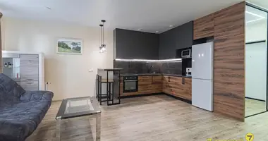 1 room apartment in Minsk, Belarus
