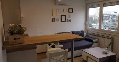 Wohnung 2 zimmer in Stadt Zagreb, Kroatien