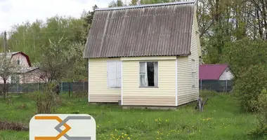 House in Dukorski sielski Saviet, Belarus