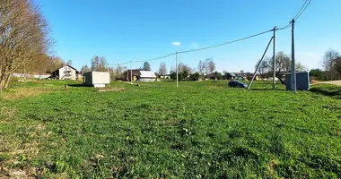 Grundstück in Hajnienski sielski Saviet, Weißrussland