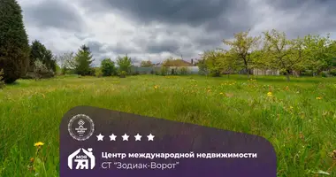 Участок земли в Пекалинский сельский Совет, Беларусь