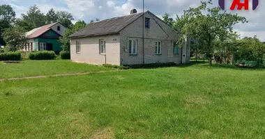 Дом в Боровое, Беларусь