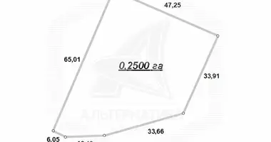 Plot of land in Lieninski sielski Saviet, Belarus