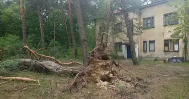 Casa 10 habitaciones en Otwock, Polonia