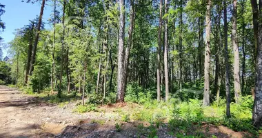 Terrain dans Podolsk Urban Okrug, Fédération de Russie