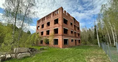 Maison dans Piatryskauski siel ski Saviet, Biélorussie