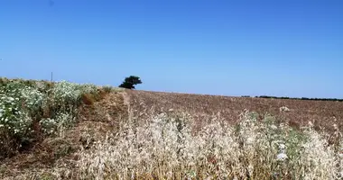 Plot of land in Petralona, Greece