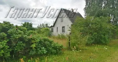 House in Zhabinka, Belarus