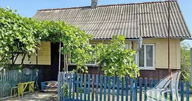 House in Damacauski sielski Saviet, Belarus