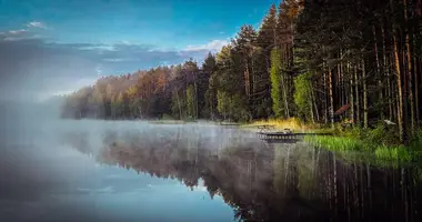 Nieruchomości komercyjne 20 m² w Akalouski siel ski Saviet, Białoruś