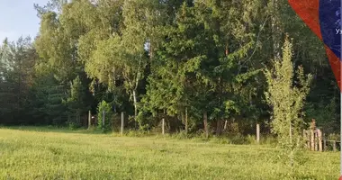 Plot of land in Slabadski sielski Saviet, Belarus