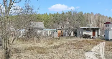 Haus in Muchaviecki siel ski Saviet, Weißrussland