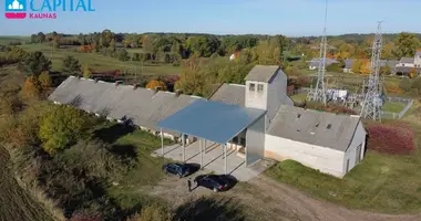 Commercial property 931 m² in Ingavangis, Lithuania