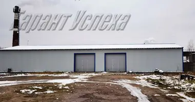 Warehouse 381 m² in Brest, Belarus