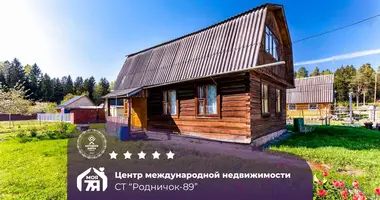Haus in Zodzinski selski Savet, Belarus