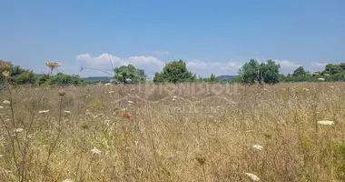Grundstück in Elassona, Griechenland
