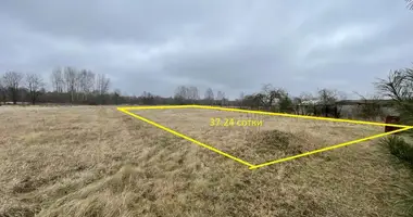 Plot of land in Turynski sielski Saviet, Belarus