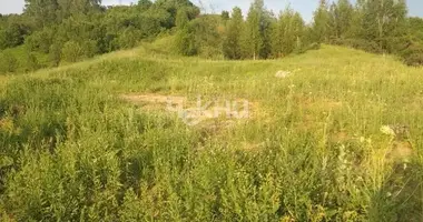 Plot of land in Kusakovka, Russia