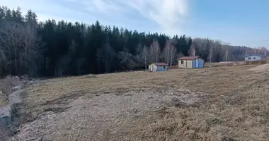 Terrain dans Hajnienski siel ski Saviet, Biélorussie