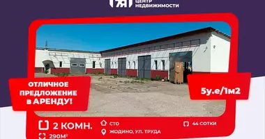 Propriété commerciale 290 m² dans Jodzina, Biélorussie