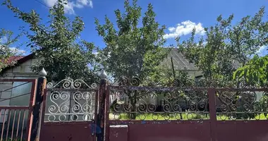 Maison dans Niasvij, Bélarus