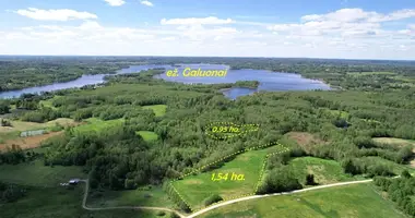 Plot of land in Jursiskes, Lithuania