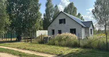 House in Turynski sielski Saviet, Belarus