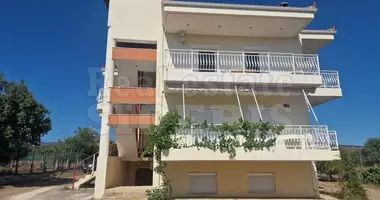 Rezydencja 8 pokojów w Municipality of Loutraki and Agioi Theodoroi, Grecja