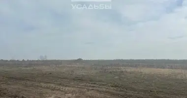 Terrain dans Rechicy, Fédération de Russie