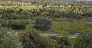 Участок земли в Писсури, Кипр