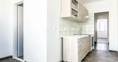 2 bedroom apartment in okres Usti nad Labem, Czech Republic