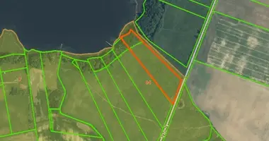 Plot of land in Sinkunai, Lithuania