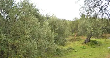 Plot of land in Dafnata, Greece