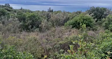 Plot of land in Zagora, Montenegro