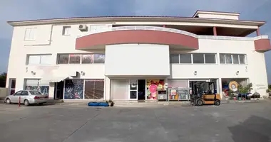 Commercial property 1 131 m² in Klirou, Cyprus
