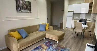 1 Bedroom Apartmet for Rent in Tbilisi en Tiflis, Georgia