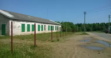 Коммерческое помещение 305 м² в Юзуфово, Беларусь
