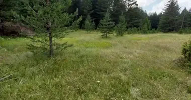 Terrain dans Zabljak, Monténégro