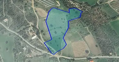 Terrain dans Agios Theodoros Larn, Chypre