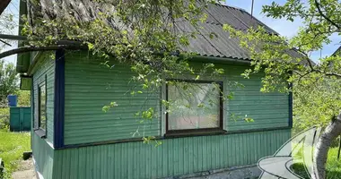 House in Skoki, Belarus